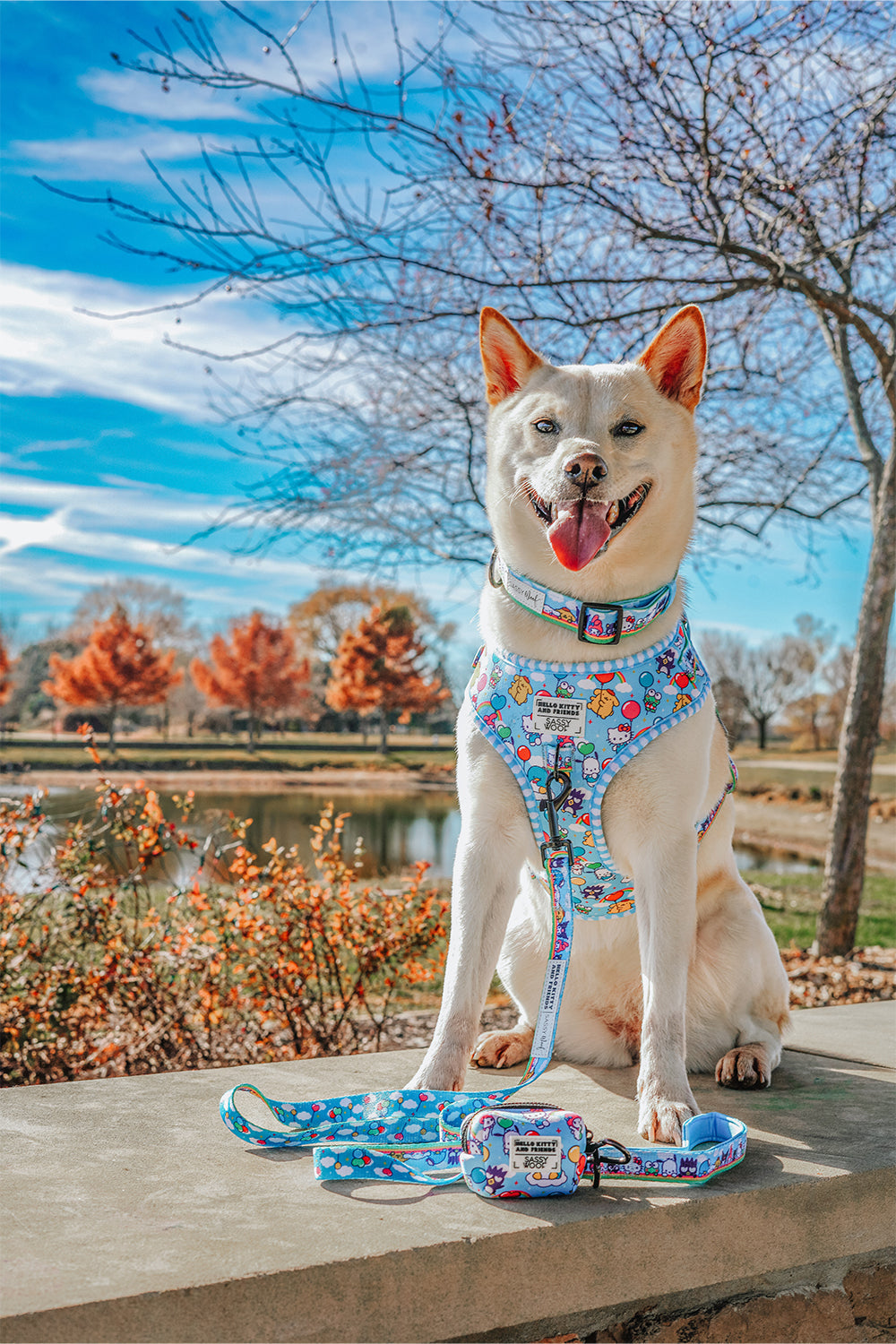 Dog Adjustable Harness - Hello Kitty® & Friends In the Sky
