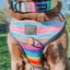 Dog Collar - Love You Fur You