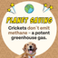 Superfood Cricket & Pumpkin Dog Treats, 4-Pack