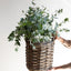 Rattan Round Basket