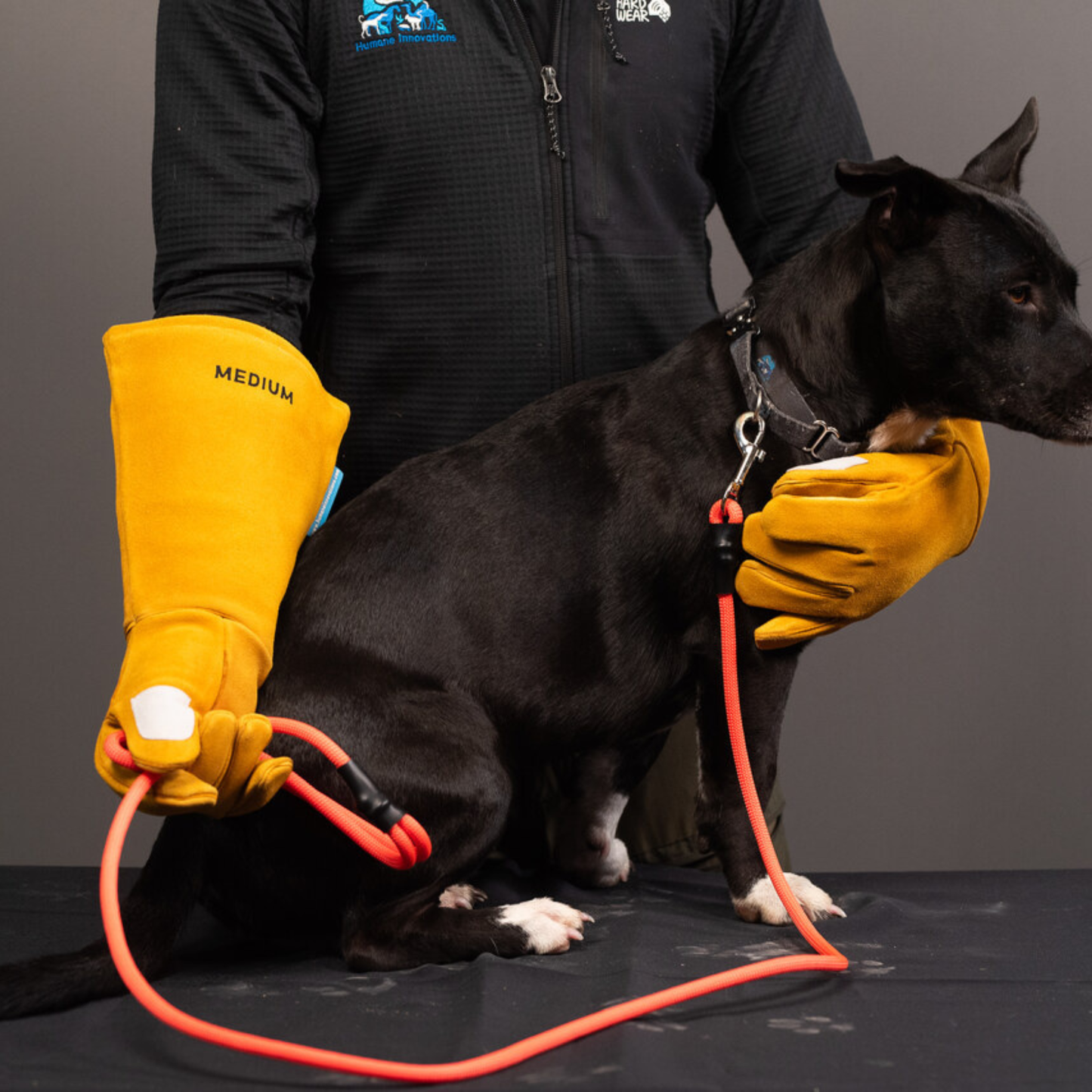 Rope Slip Leash - Medium