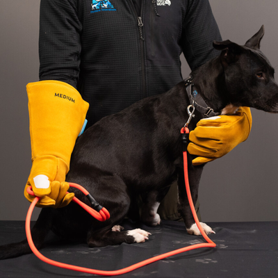 Rope Slip Leash - Medium