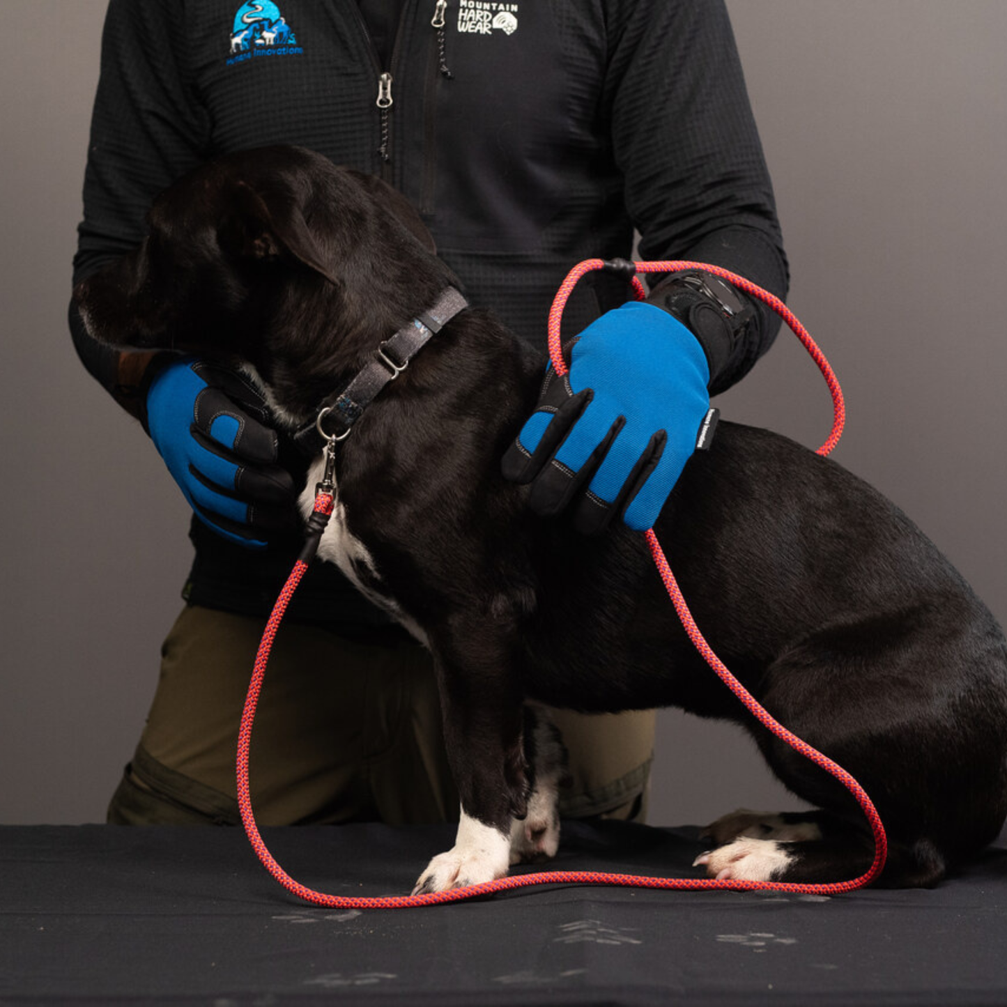 Essential Rope Dog Leash - Small