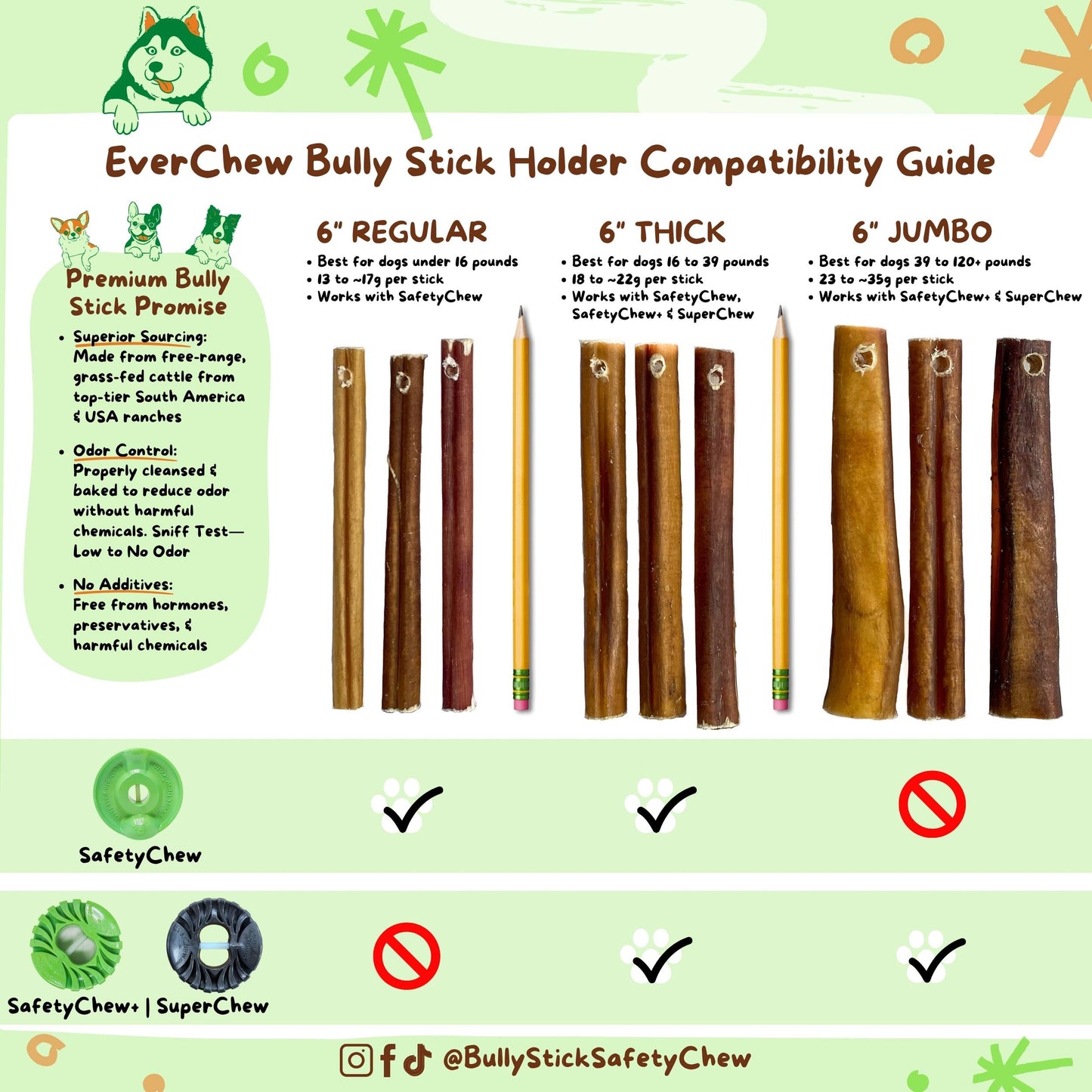 SafetyChew Small Dog Starter Pack: Pin-Lock Bully Stick Holder +  All-Natural Bully Sticks for Dogs Under 16lbs