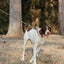 Essential Rope Dog Leash - Large