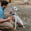 Essential Rope Dog Leash - Large