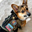 Kiloniner Corgi Squad Morale Patch