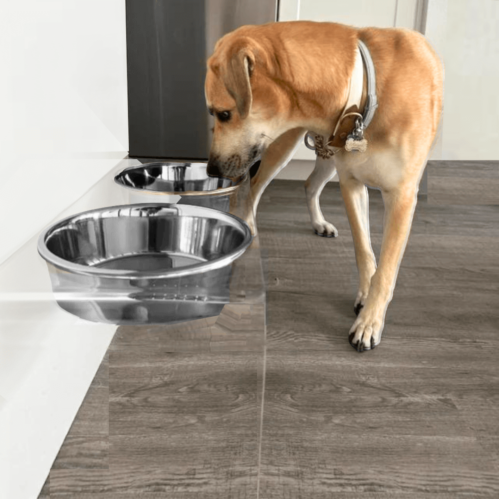 Tall Silver Double Feeder