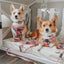 Dog Adjustable Harness - Disney's Bambi