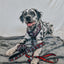 Dog Leash - STAR WARS™ The Dark Side