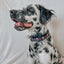 Dog Collar - STAR WARS™ The Dark Side