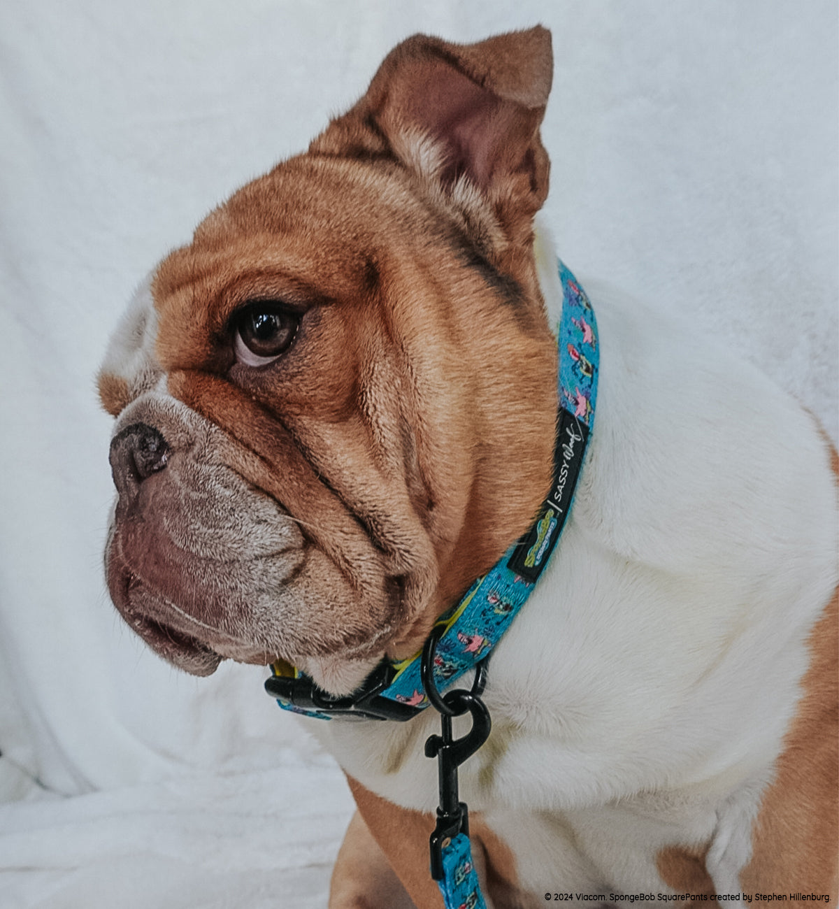 Dog Collar - SpongeBob SquarePants™ Jelly Fishin'