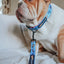 Dog Collar - Hot Wheels™