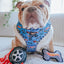 Dog Adjustable Harness - Hot Wheels™