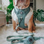 Dog Step-in Harness - Sage