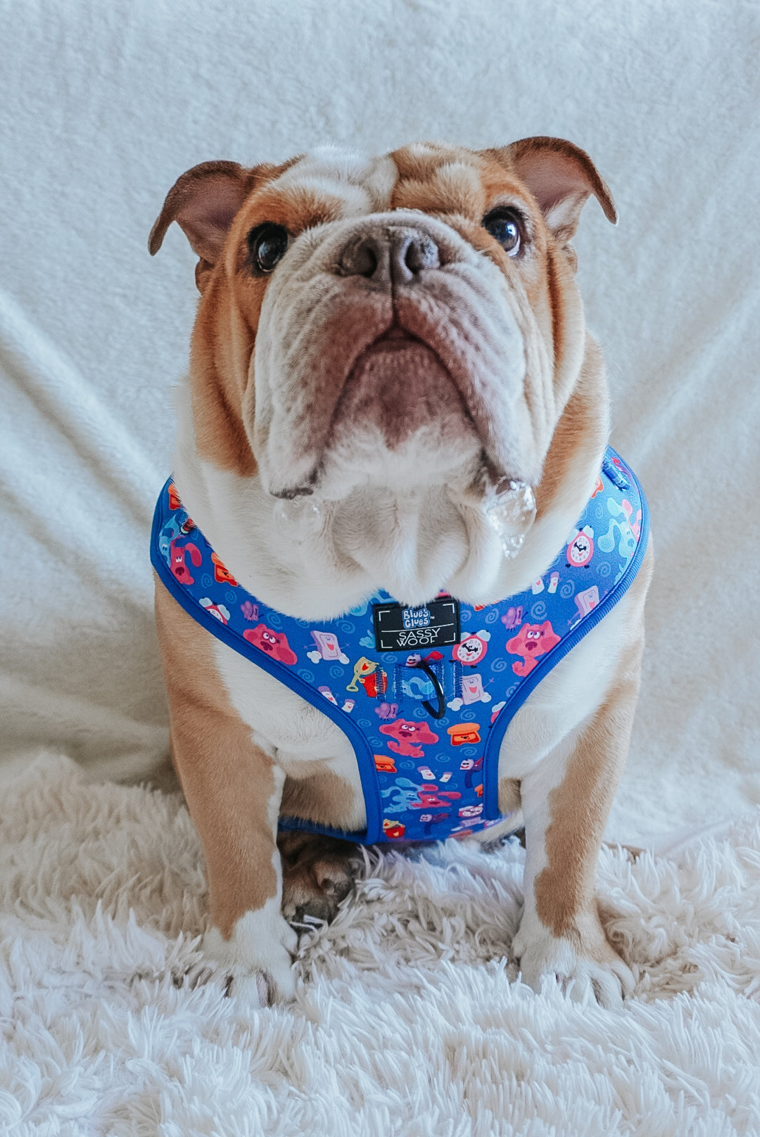 Dog Adjustable Harness - Blue's Clues™