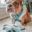 Dog Leash - Sage