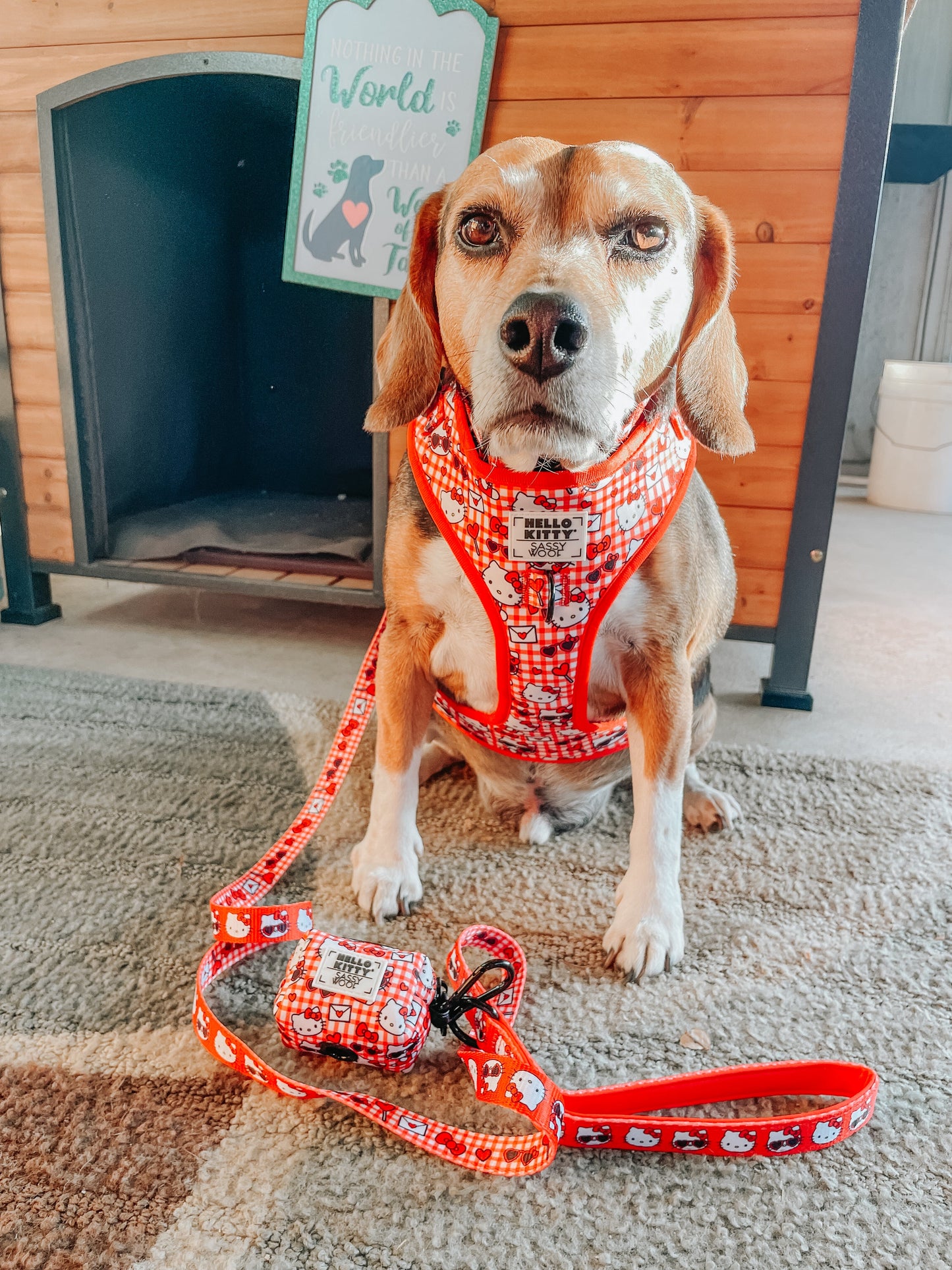 Dog Collar - Hello Kitty® Red Classic