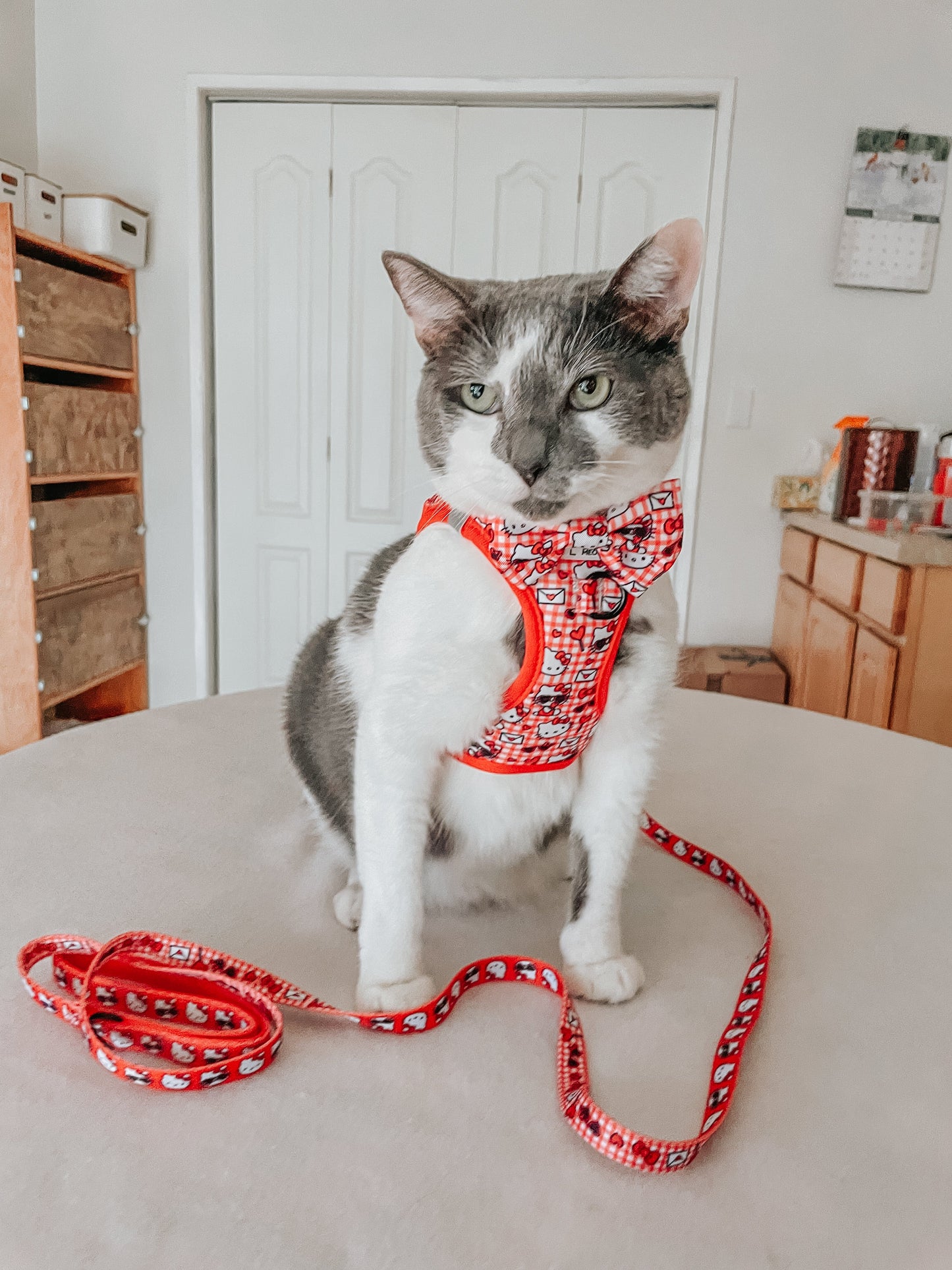 Cat Leash - Hello Kitty® Red Classic