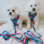 Dog Collar - SpongeBob SquarePants™ and Friends