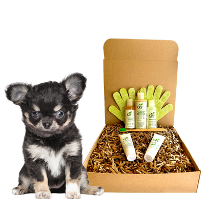 4-FURRY DOGS *SENSITIVE GROOMING KIT