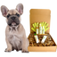 4-FURRY DOGS *REGULAR GROOMING KIT