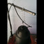 Hanging Chain