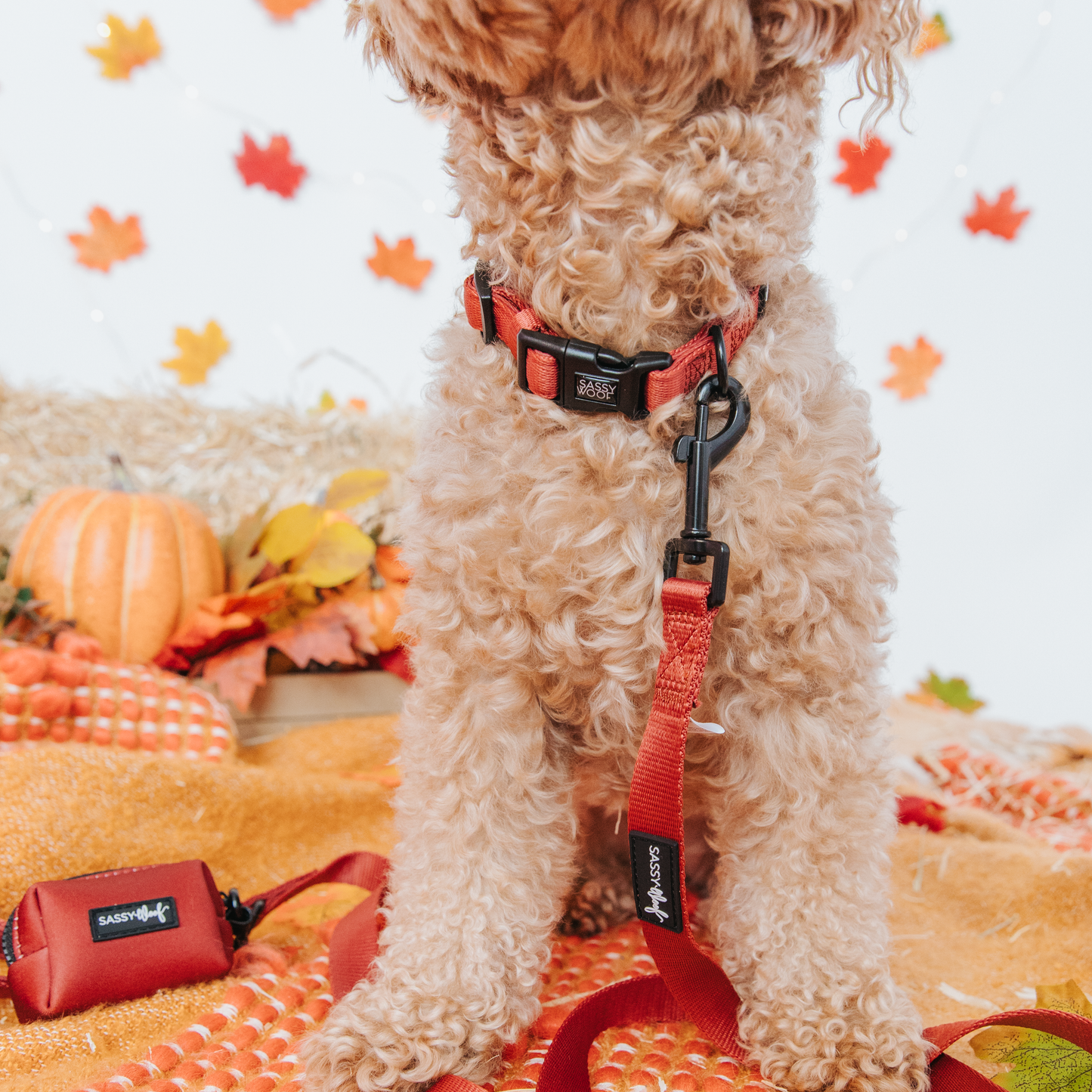 Dog Collar - Burgundy