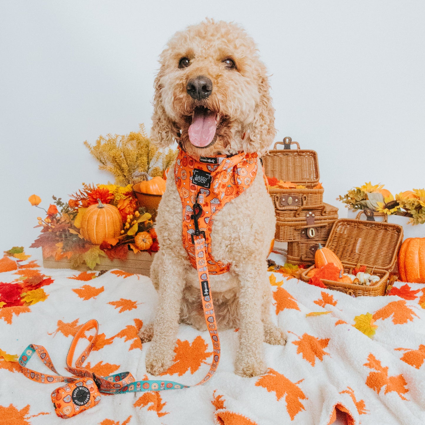 Dog Adjustable Harness - Pupkin Donuts