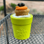 Dog Treat Dispensers