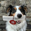 Elk Antler Dog Chews | All-Natural Whole and Split Elk Antler Chews for Dogs
