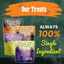Halloween Dog Treat Snack Pack Bundle