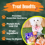 Halloween Dog Treat Snack Pack Bundle