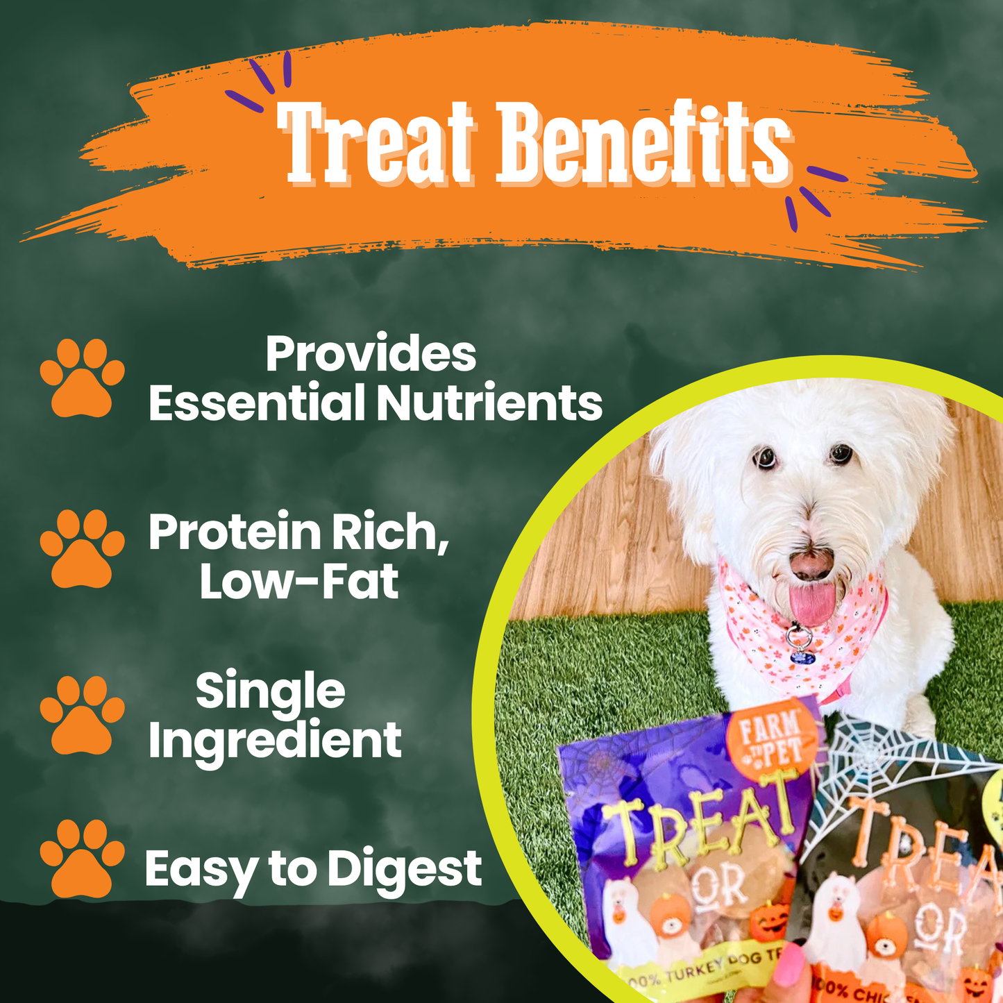 Halloween Dog Treat Snack Pack Bundle