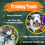 Halloween Dog Treat Snack Pack Bundle