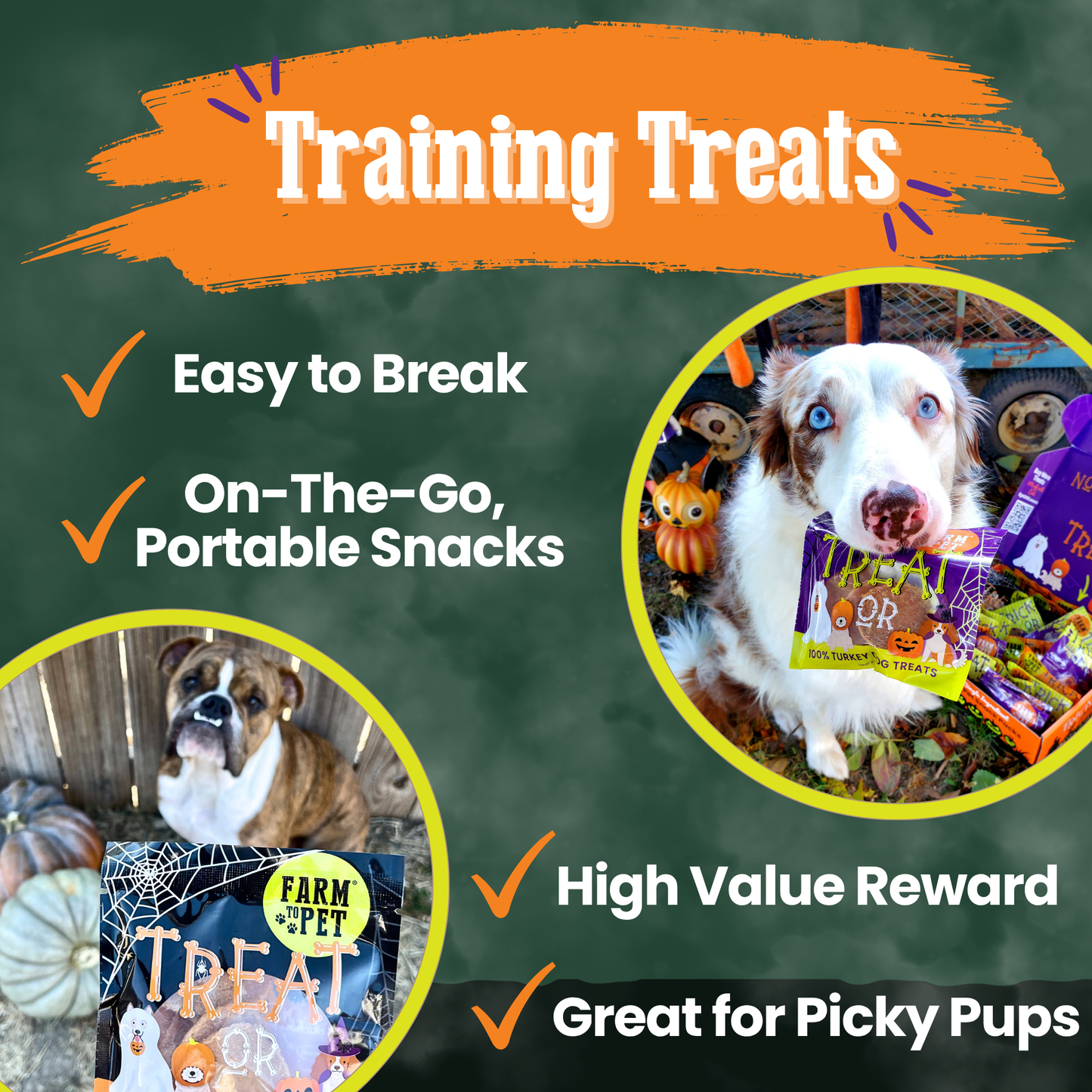 Halloween Dog Treat Snack Pack Bundle