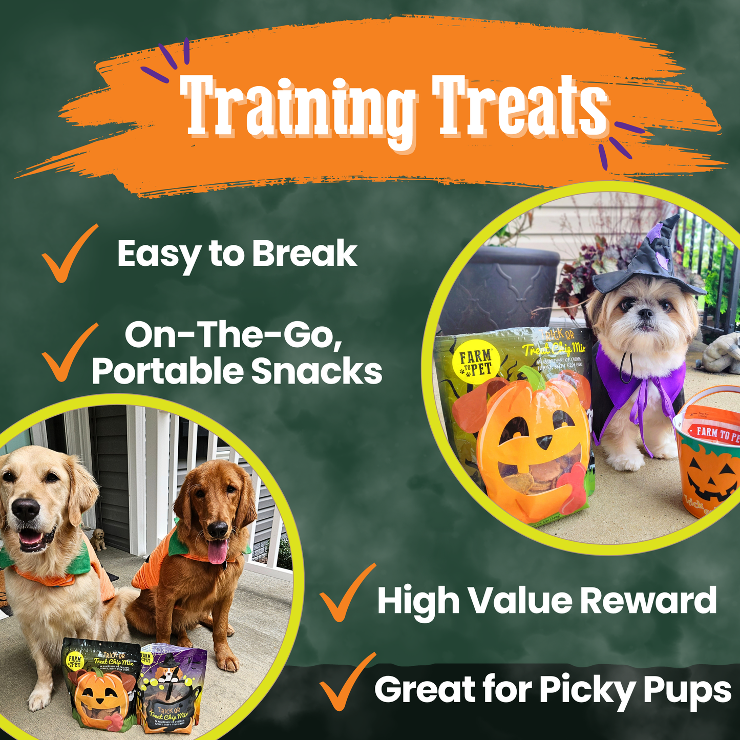 Trick or Treat Chip Mix Halloween Dog Treats