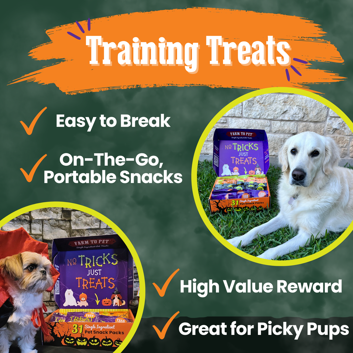 Halloween 31 Snack Pack Dog Treat Box