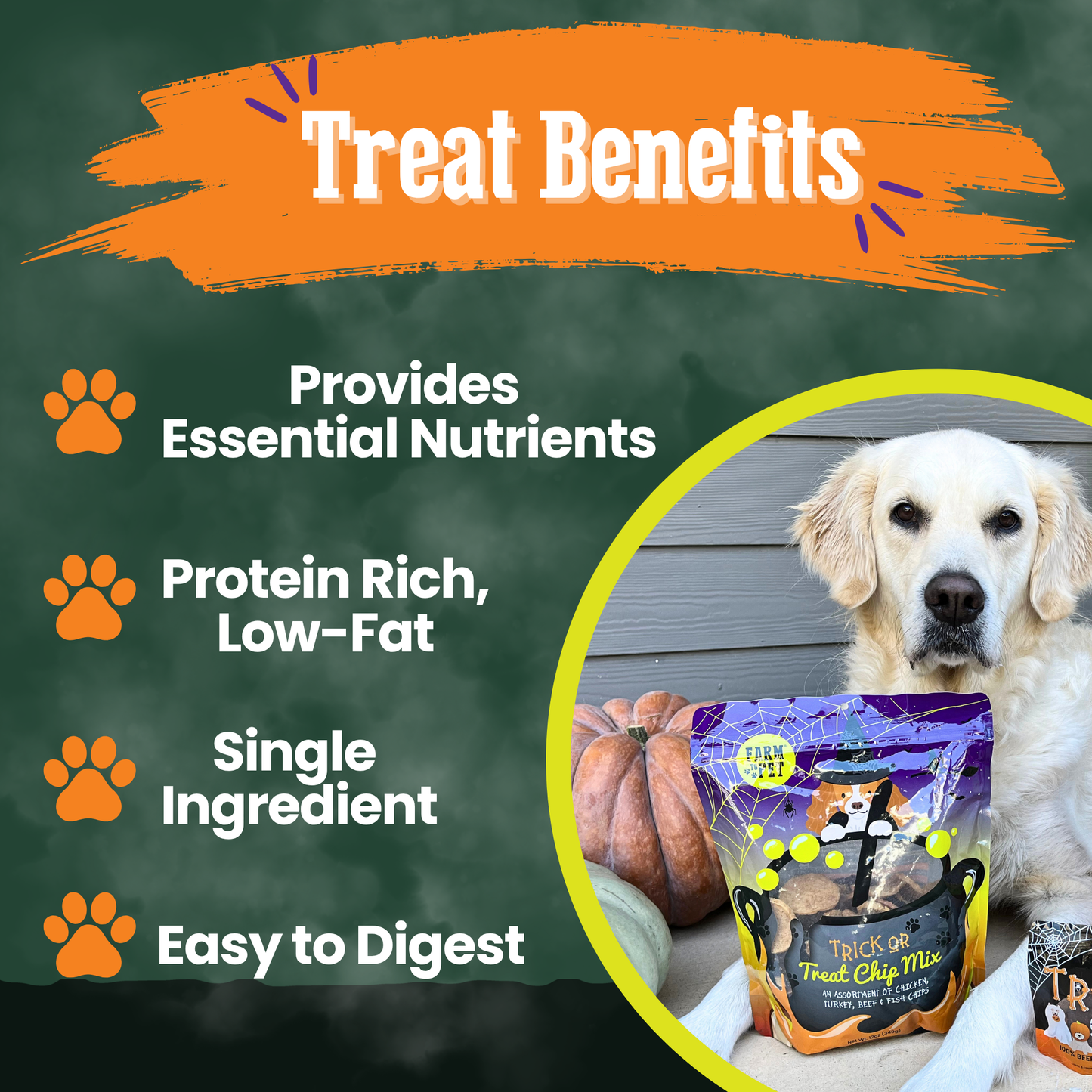 Trick or Treat Chip Mix Halloween Dog Treats
