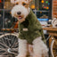 Eskimo Fuzzy Sweater - Orange