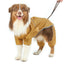 Ultralight Full covered hooded waterproof dog jacket - Yellow