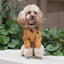 Ultralight Full covered hooded waterproof dog jacket - Yellow
