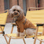 Ultralight Full covered hooded waterproof dog jacket - Yellow