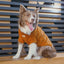 Eskimo Fuzzy Sweater - Orange