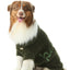 Eskimo Fuzzy Sweater - Green