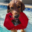 Fire Hose Dog Frisbee