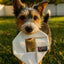 Fire Hose Dog Frisbee JR.