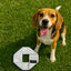 Fire Hose Dog Frisbee JR.