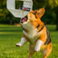 Fire Hose Dog Frisbee JR.