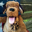 HuggleCause™, Project K-9 Hero, Flash Knottie® Plush Dog Toy, Large